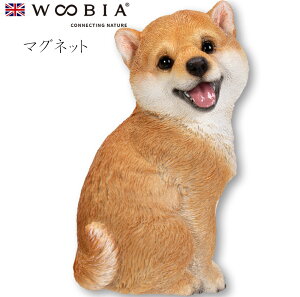 wyVX[p[SALE ݌Ɉ| ixE[rA Woobia yɂČ }Olbgz (5cm×s3cm×9.3cmj  Ck hbO dog 킢 u A   CeA K[f