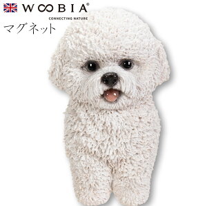 E[rA Woobia yrVEt[[ }Olbgz (5.5cm×s3.2cm×9cmj  Ck hbO 킢 u   CeA K[fjO CMX l` Aj}I[i
