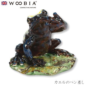 E[rA Woobia yJG̃yz (7cm×s7cm×6.5cmj킢 u A   CeA K[fjO CMX l` Aj}I[ig ybg 4582756130386