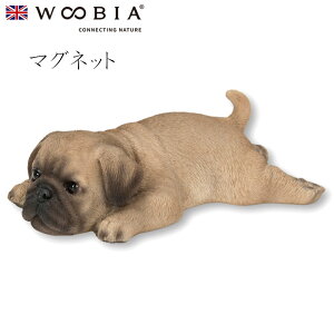 E[rA Woobia yԂpO }Olbgz (13cm×s6.8cm×4.5cmj  Ck hbO dog u A   CeA K[fjO CMX l` Aj}I[ig y