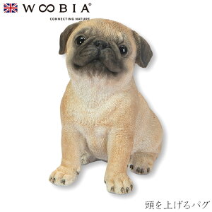 wyVX[p[SALE ݌Ɉ| ixE[rA Woobia yグpOz (10.5cm×s6cm×10.5cmj  Ck hbO dog 킢 u A   CeA K[fjO