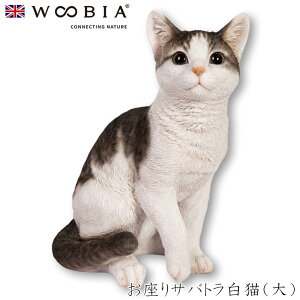 E[rA Woobia yTogLijz (25cm×s17cm×30.5cmjL ˂ lR cat 킢 u A  CeA K[fjO CMX l` Aj}I[ig ybg 