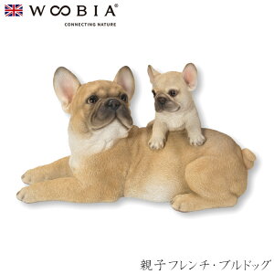 E[rA Woobia yeqt`EuhbOz (27cm×s13cm×15cmj  Ck hbO dog 킢 u A  CeA K[fjO CMX l` Aj}I[i