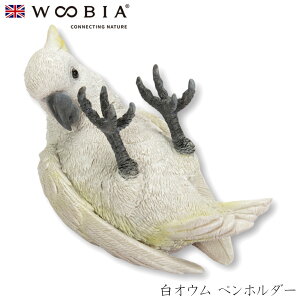 E[rA Woobia yIE yz_[z (9.8cm×s5cm×5.5cmj킢 u A   CeA K[fjO CMX l` Aj}I[ig ybg 4582756132854