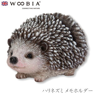 E[rA Woobia ynlY~ z_[z (5.5cm×s3.5cm×3cmj킢 u A   CeA K[fjO CMX l` Aj}I[ig ybg 4582756131