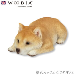 wyVX[p[SALE ݌Ɉ| ixE[rA Woobia yČJbv߂t^z (11cm×s6cm×3.5cmj  Ck hbO dog 킢 u A  CeA K[fj