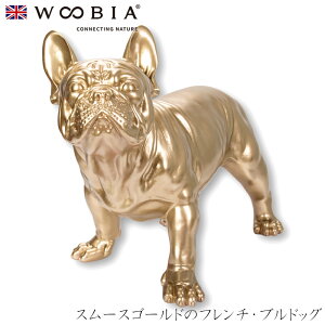 E[rA Woobia yX[XS[h̃t`EuhbOz (49.3cm×s25.3cm×35cmj  Ck hbO u  CeA K[fjO CMX l` Aj}I[ig y