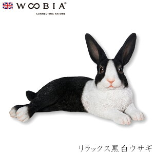 E[rA Woobia ybNXETMz (31.5cm×s19.5cm×18.5cmj킢 u A   CeA K[fjO CMX l` Aj}I[ig ybg 458275613
