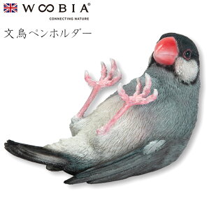E[rA Woobia yyz_[z (9.5cm×s4.5cm×5.5cmj킢 u A   CeA K[fjO CMX l` Aj}I[ig ybg 4582756131581