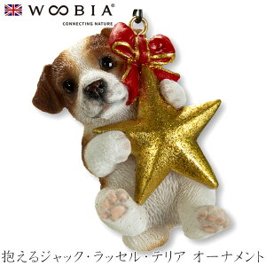 E[rA Woobia yWbNEbZEeA Aj}I[igz (5.3cm×s4.5cm×7.5cmj  Ck u  CeA CMX l` Aj}I[ig 