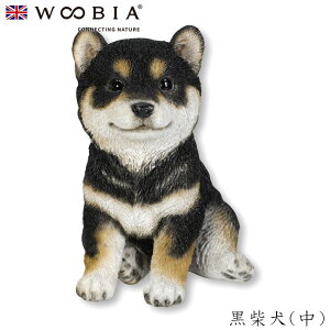 E[rA Woobia yČijz (13cm×s11.5cm×16.5cmj  Ck hbO dog 킢 u A   CeA K[fjO CMX l` Aj}I[ig y