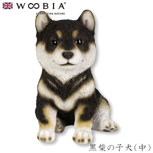 E[rA Woobia yĂ̎qijz (17.5cm×s13.7cm×20.3cmj  Ck hbO 킢 u   CeA K[fjO CMX l` Aj}I[ig ybg 