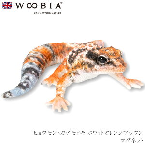 E[rA Woobia yqEgJQhL zCgIWuE }Olbgz (10.5cm×s9.5cm×4cmj킢 u A CeA CMX l` Aj}I[ig ybg
