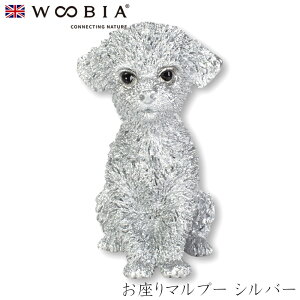 E[rA Woobia y}v[ Vo[z (3.6cm×s2.5cm×4.5cmj  Ck hbO dog 킢 u A   CeA K[fjO CMX l` Aj}I[
