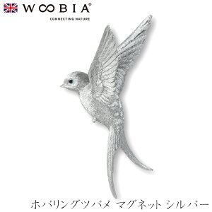 E[rA Woobia yzoOco }Olbg Vo[z (12.8cm×s3.8cm×8.35cmj킢 u   CeA K[fjO CMX l` Aj}I[ig ybg 