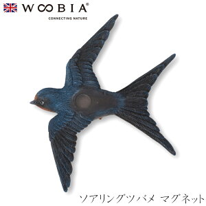 E[rA Woobia y\AOco }Olbgz (10.3cm×s2cm×10.3cmj킢 u A   CeA K[fjO CMX l` Aj}I[ig ybg 45