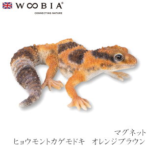 E[rA Woobia yqEgJQhL IWuE }Olbgz (10.5cm×s9.5cm×4cmj킢 u A CeA K[fjO CMX l` Aj}I[ig 