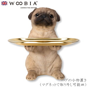 E[rA Woobia ypȌui}OlbgŎO\Mjz (15cm×s11cm×19cmj  Ck hbO u  CeA K[fjO CMX l` Aj}I[ig 