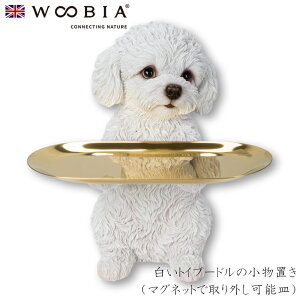 E[rA Woobia ygCv[h̏ui}OlbgŎO\Mjz (15.5cm×s10.5cm×20.5cmj  CeA CMX l` Aj}I[ig ybg 4582756146356