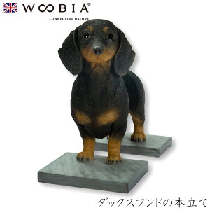 wyVX[p[SALE ݌Ɉ| ixE[rA Woobia y_bNXth̖{āz (15cm×s11cm×18.5cmj  Ck hbO 킢 u   CeA K[fjO 