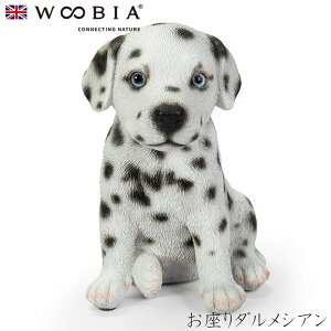 E[rA Woobia y_VAz (10.2cm×s8.5cm×12.2cmj  Ck hbO dog 킢 u A  CeA K[fjO CMX l` Aj}I[ig yb
