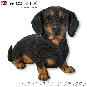 E[rA Woobia y_bNXth ubN^z (22.5cm×s9cm×14cmj  Ck hbO 킢 u A  CeA K[fjO CMX l` Aj}I[i