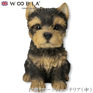 E[rA Woobia y胈[NV[eAijz (15.2cm×s10.3cm×16.3cmj  Ck hbO u  CeA K[fjO CMX l` Aj}I[ig ybg 45