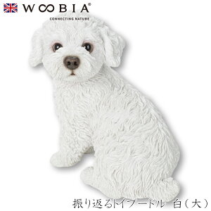 E[rA Woobia yUԂgCv[h ijz (28.5cm×s16cm×20.5cmj  Ck hbO 킢 u  CeA K[fjO CMX l` Aj}I[ig 