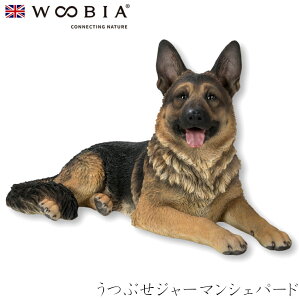E[rA Woobia yԂW[}VFp[hz (76.5cm×s38.5cm×41cmj  Ck hbO u A  CeA K[fjO CMX l` Aj}I[ig y