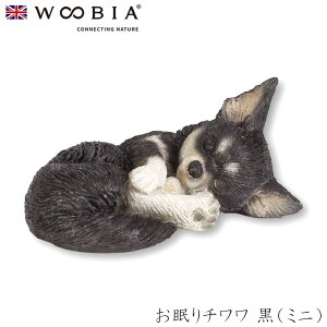 E[rA Woobia y` i~jjz (4cm×s3cm×4.5cmj  Ck hbO dog 킢 u A   CeA K[fjO CMX l` Aj}I[i