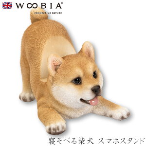 E[rA Woobia yQׂČ X}zX^hz (10.5cm×s7cm×9cmj  Ck hbO dog 킢 u   CeA K[fjO CMX l` Aj}I[i