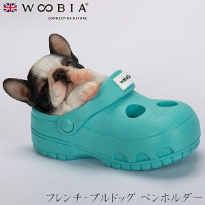 E[rA Woobia yt`EuhbO yz_[z (10cm×s5.5cm×5.5cmj  Ck hbO 킢 u  CeA K[fjO CMX l` Aj}I[i