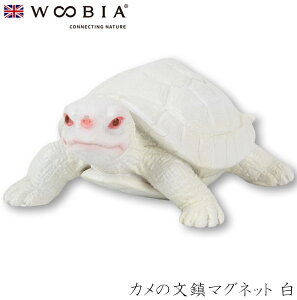 wyVX[p[SALE ݌Ɉ| ixE[rA Woobia yJ̕}Olbg z (7cm×s5cm×3cmj킢 u A   CeA K[fjO CMX l` A