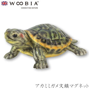 w9/4Jn X[p[SALE ݌Ɉ|Z[xE[rA Woobia yAJ~~K}Olbgz (6.6cm×s5cm×3cmj킢 u A   CeA K[fjO CMX l
