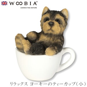 E[rA Woobia ybNX [L[̃eB[Jbvijz (6cm×s5.8cm×7.4cmj  Ck hbO 킢 u  CeA K[fjO CMX l` Aj}I[i