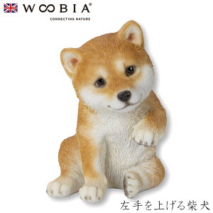E[rA Woobia yグČz (9cm×s8.3cm×12cmj  Ck hbO dog 킢 u A   CeA K[fjO CMX l` Aj}I[ig 