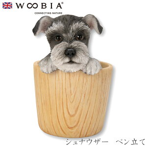 E[rA Woobia yViEU[ yāz (10cm×s8cm×12cmj  Ck hbO dog 킢 u A   CeA K[fjO CMX l` Aj}I[i