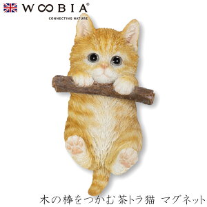 wyVX[p[SALE ݌Ɉ| ixE[rA Woobia y؂̖_ޒgL }Olbgz (4.8cm×s2.3cm×8.5cmjL ˂ lR 킢 u A  CeA K[fj