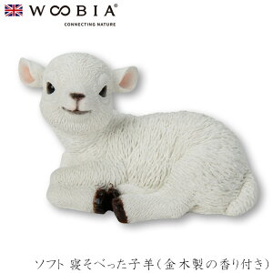 E[rA Woobia y\tg Qׂqriؐ̍tjz (10cm×s6cm×6.5cmj킢 u A   CeA K[fjO CMX l` Aj}I[i