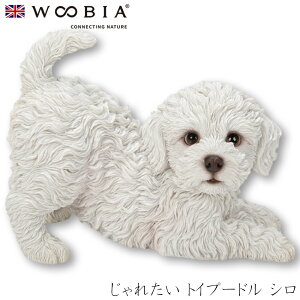 E[rA Woobia yꂽ gCv[h Vz (20.5cm×s11.8cm×14.5cmj  Ck 킢 u  CeA K[fjO CMX l` Aj}I[ig ybg 