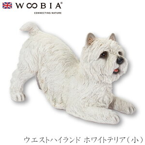 E[rA Woobia yEGXgnCh zCgeAijz (26cm×s12.2cm×16.3cmj  Ck hbO u  CeA K[fjO CMX l` Aj}I[ig y