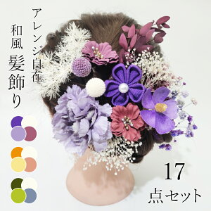  wAANZT[ 17_Zbg  vU[uht[ hCt[ a wbhhX l Ǝ AW  񎟉 OB