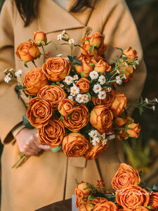 񎟉  EGfBOu[P EFfBOu[P ԉ I OB  uC_ [Y o IW HF CeA i