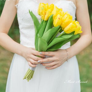 EGfBOu[P `[bv uC_ EFfBO  OB ԉ 񎟉  I A[gt[ A[u[P CG[