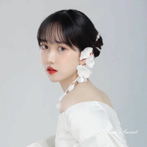  񎟉 EFfBO  ANZT[ t[ ԉ uC_ \  wbhhX EGfBO p[eB[ t zCg OB