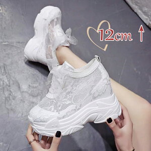 Xj[J[ g12cmUP T_ r fB[X X|T tbg Xj[J[T_  y X|[cT_ t ԉ EFfBOV[Y