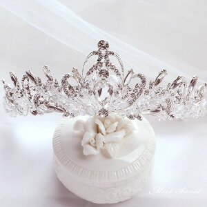 yP5{BLACK FRIDAYzeBA wbhhX q  vZX LbY  NE wAANZT[ sAm\ ̎q p[eB[ ܎O   uC_pi