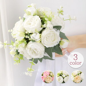 u[P EFfBOu[P uC_u[P Ehu[P EGfBOu[P ԉ  ԑ   񎟉 I  OB i ][g EFfBO EGfBO 