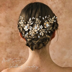 wbhhX R[ obNJ`[V  wAANZT[ t[ 񎟉 \ l  ԉ Ǝ  a p[eB[ EFfBO uC_ S[WX wAA