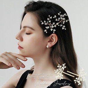 wbhhX wAs wAAW r[Y }  wAANZT[ l 񎟉 \ l  ԉ OB Ǝ a   p[eB[ EFfBO uC_ EG